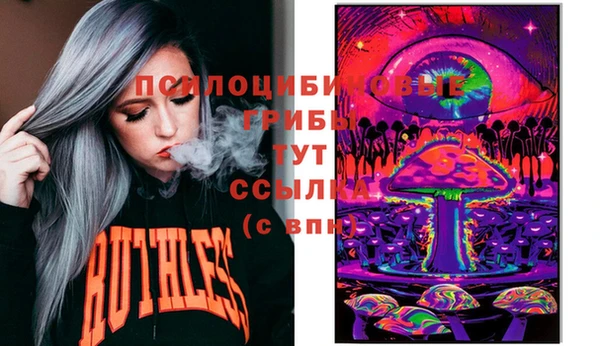трава Богородицк