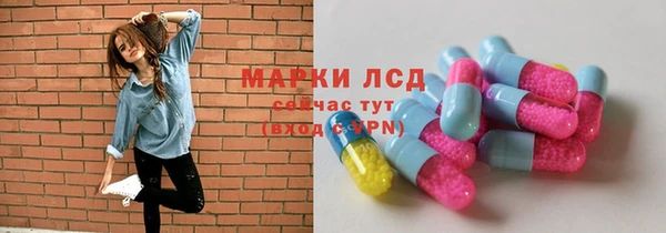 трава Богородицк