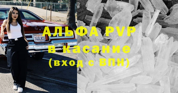 бошки Белокуриха