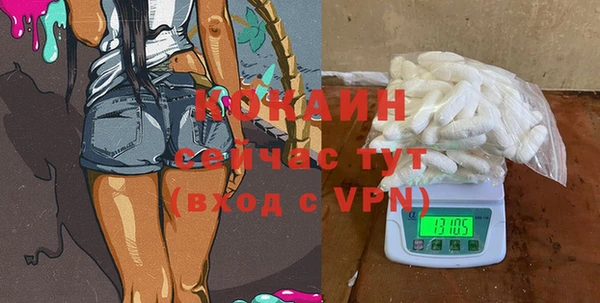 мдпв Богданович