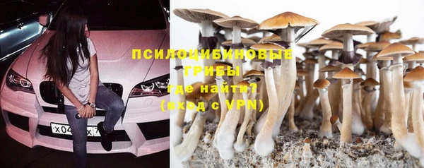 сатива Белоозёрский