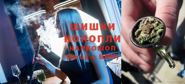бошки Белокуриха