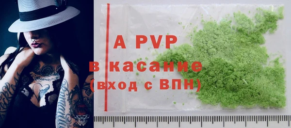 бошки Белокуриха