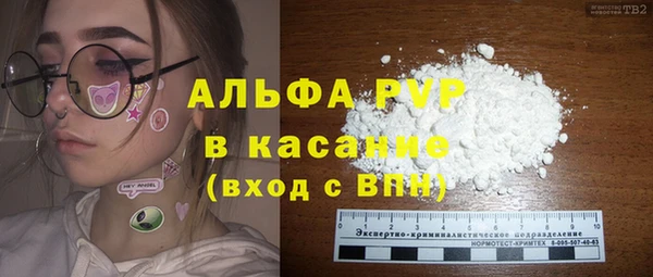 мдпв Богданович