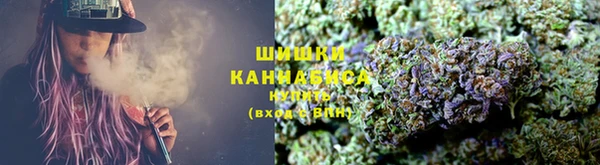 бошки Белокуриха